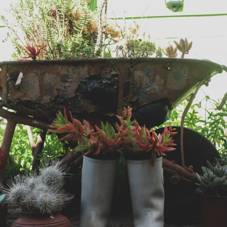 Mountainia wheel barrel