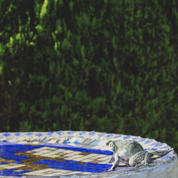 Mountainia bird bath