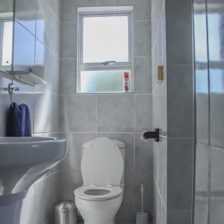 Protea room bathroom