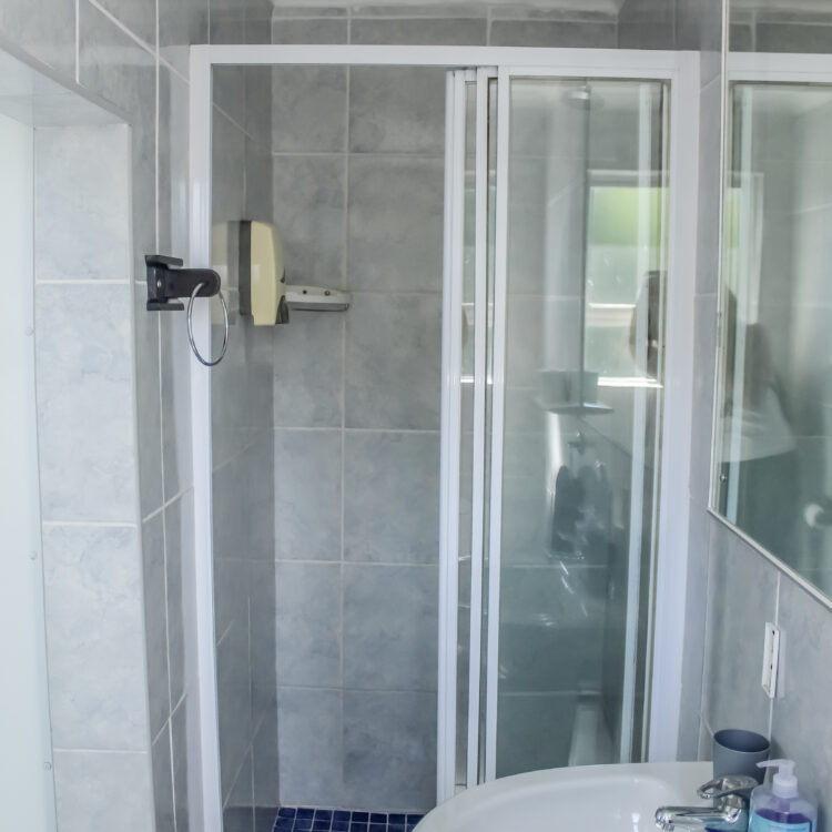 Protea room bathroom