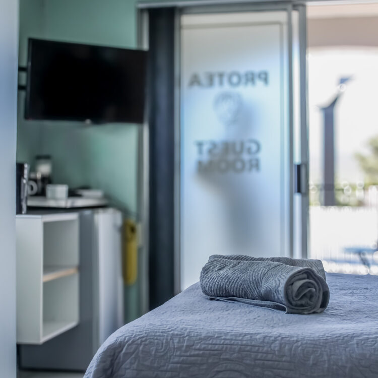 Protea room tv and mini kitchen