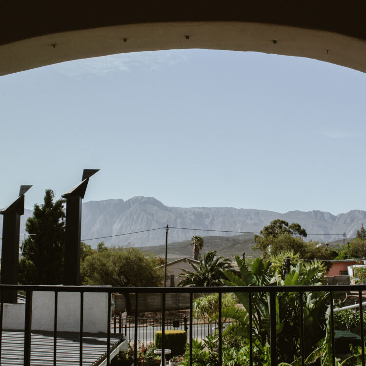 Protea room view