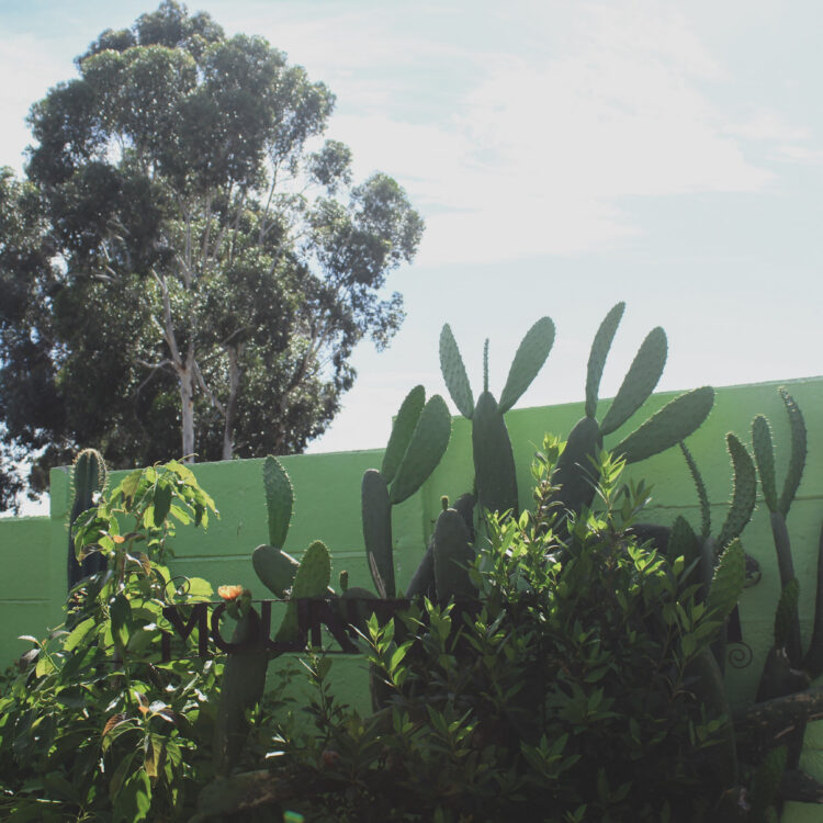 Mountainia garden welcome